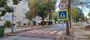 iskolautcazebra